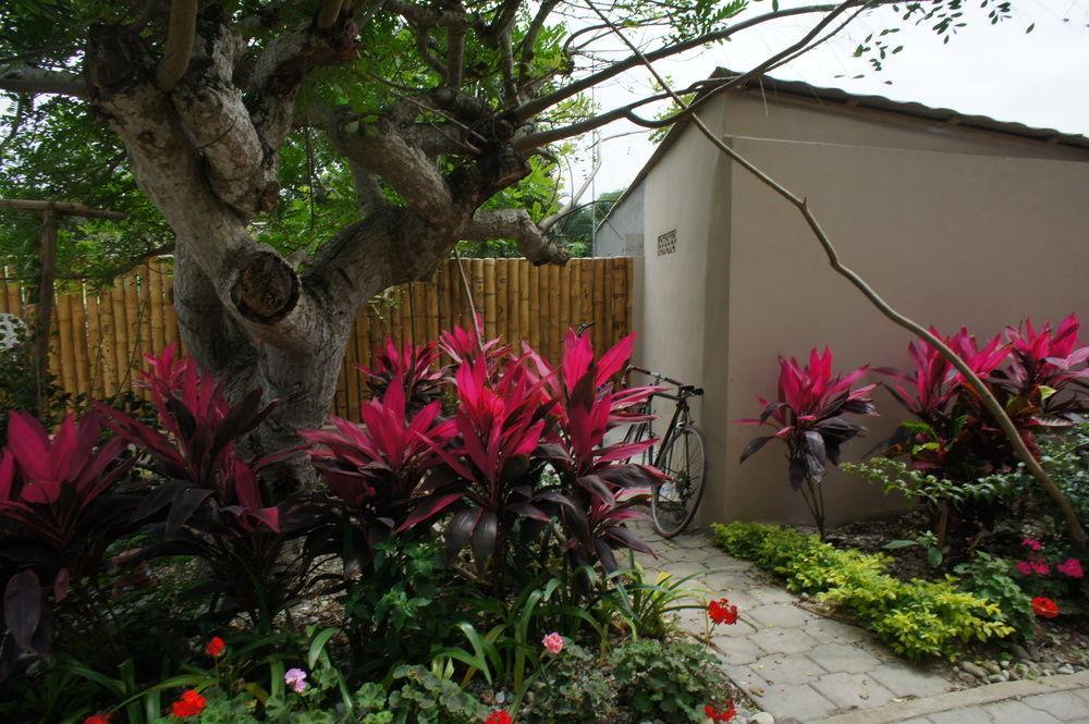 Rincon D'Olon Boutique Hotel Kültér fotó