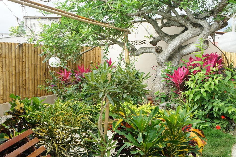 Rincon D'Olon Boutique Hotel Kültér fotó